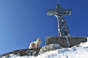 57 Reincontro Taurus alla croce di vetta del  Resegone